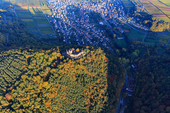 Schrägluftbild von Burgruine der Burg Landeck im herbstlichem Wald bei Abendlicht in Klingenmünster im Bundesland Rheinland-Pfalz, Deutschland