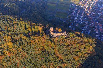 Burgruine der Burg Landeck im herbstlichem Wald bei Abendlicht in Klingenmünster im Bundesland Rheinland-Pfalz, Deutschland aus der Luft
