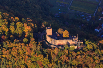 Burgruine der Burg Landeck im herbstlichem Wald bei Abendlicht in Klingenmünster im Bundesland Rheinland-Pfalz, Deutschland von oben gesehen