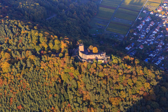 Burgruine der Burg Landeck im herbstlichem Wald bei Abendlicht in Klingenmünster im Bundesland Rheinland-Pfalz, Deutschland vom Flugzeug aus