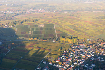 Klingenmünster im Bundesland Rheinland-Pfalz, Deutschland