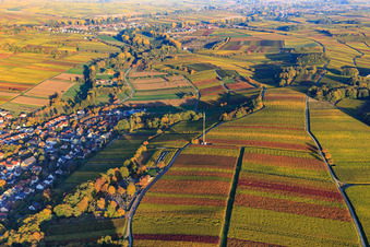 Herbstlicht bunte Reben der Weinberge bis Klingen in Klingenmünster im Bundesland Rheinland-Pfalz, Deutschland