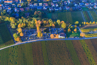 Luftbild von Friedhof Klingenmünster im Herbst von Süden im Bundesland Rheinland-Pfalz, Deutschland