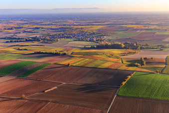 Luftaufnahme von Dorfansicht aus Nordwesten in Oberhausen im Bundesland Rheinland-Pfalz, Deutschland