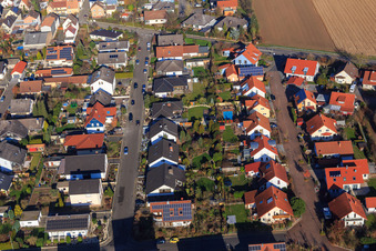 Im Bannholz im Ortsteil Hayna in Herxheim bei Landau im Bundesland Rheinland-Pfalz, Deutschland
