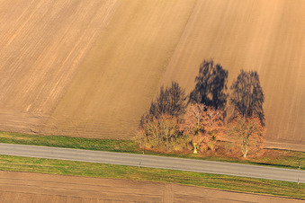 Luftbild von Hatzenbühl im Ortsteil Hayna in Herxheim bei Landau im Bundesland Rheinland-Pfalz, Deutschland