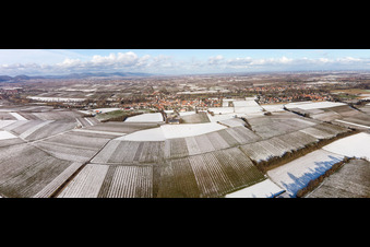 Drohnenbild von Ortsteil Ingenheim in Billigheim-Ingenheim im Bundesland Rheinland-Pfalz, Deutschland