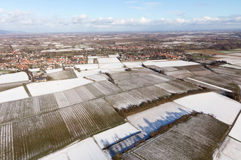 Ortsteil Ingenheim in Billigheim-Ingenheim im Bundesland Rheinland-Pfalz, Deutschland aus der Drohnenperspektive