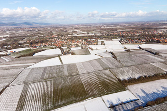 Ortsteil Ingenheim in Billigheim-Ingenheim im Bundesland Rheinland-Pfalz, Deutschland von einer Drohne aus