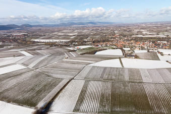 Ortsteil Ingenheim in Billigheim-Ingenheim im Bundesland Rheinland-Pfalz, Deutschland von der Drohne aus gesehen