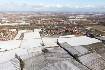 Ortsteil Ingenheim in Billigheim-Ingenheim im Bundesland Rheinland-Pfalz, Deutschland von oben