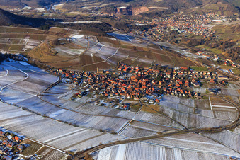 Birkweiler, Kastanienbusch im Bundesland Rheinland-Pfalz, Deutschland