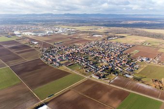 Dorf - Ansicht am Rande von landwirtschaftlichen Feldern und Nutzflächen in Ottersheim bei Landau im Bundesland Rheinland-Pfalz, Deutschland