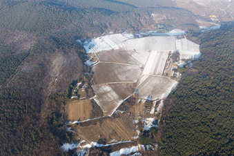 Haardtrand-Wolfsteig im Schnee in Pleisweiler-Oberhofen im Bundesland Rheinland-Pfalz, Deutschland