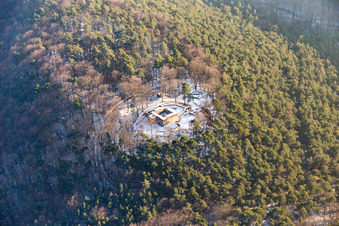 Waldschlössel im Winter bei Schnee in Klingenmünster im Bundesland Rheinland-Pfalz, Deutschland