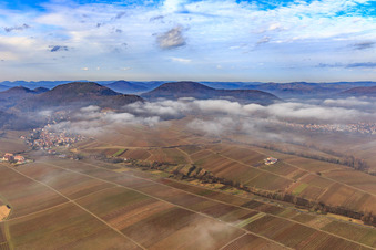 Luftbild von Dorfansicht am Haardtrand im Winter bei tiefen Wolken von Osten in Leinsweiler im Bundesland Rheinland-Pfalz, Deutschland