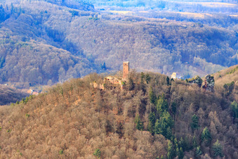 Burgruine Scharfenberg im Winter in Leinsweiler im Bundesland Rheinland-Pfalz, Deutschland