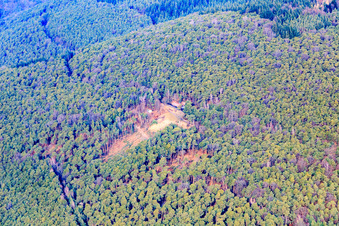 Trifelsblickhütte im Winter in Gleisweiler im Bundesland Rheinland-Pfalz, Deutschland