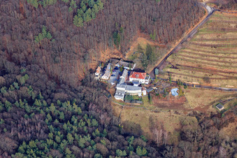 Weingut Sankt Annaberg in Burrweiler im Bundesland Rheinland-Pfalz, Deutschland