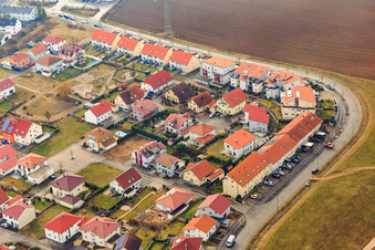 Am Höhenweg im Winter ohne Schnee in Kandel im Bundesland Rheinland-Pfalz, Deutschland