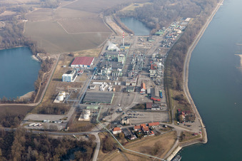 Lauterbourg im Bundesland Bas-Rhin, Frankreich aus der Drohnenperspektive