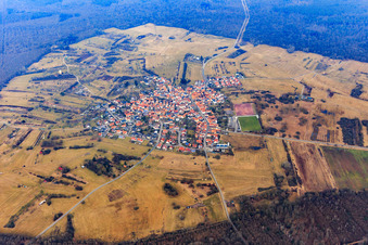 In einer Waldlichtung des Bienwalds gelegenes Dorf von Süden im Ortsteil Büchelberg in Wörth am Rhein im Bundesland Rheinland-Pfalz, Deutschland