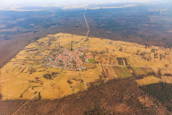 Luftbild von In einer Waldlichtung des Bienwalds gelegenes Dorf von Süden im Ortsteil Büchelberg in Wörth am Rhein im Bundesland Rheinland-Pfalz, Deutschland
