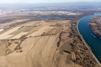 Luftbild von Insel Flotzgrün mit BASF Deponie im Ortsteil Mechtersheim in Römerberg im Bundesland Rheinland-Pfalz, Deutschland