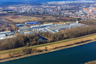 Industriegebiet Konrad-Nolte-Straße jenseits des Rhein mit Zimmerei Knaus - Johann Knaus & Viktor Knaus GbR und Tobias Wünschel GmbH in Germersheim im Bundesland Rheinland-Pfalz, Deutschland