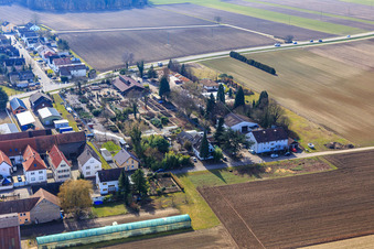 Baumschule Konrad im Winter im Ortsteil Hayna in Herxheim bei Landau im Bundesland Rheinland-Pfalz, Deutschland