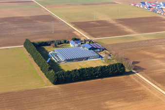Sudetenhof im Winter in Steinweiler im Bundesland Rheinland-Pfalz, Deutschland