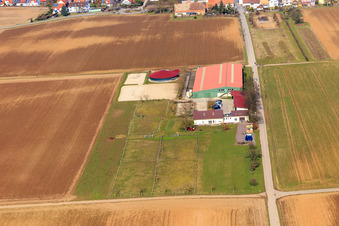 Reitsportanlage Fohlenhof in Steinweiler im Bundesland Rheinland-Pfalz, Deutschland aus der Luft