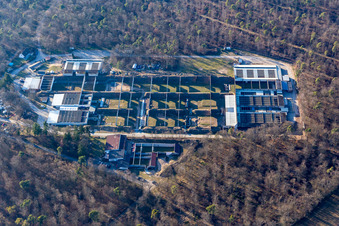 Übungsgelände und Trainingsbereich der Schießanlage Philippsburg in Philippsburg im Bundesland Baden-Württemberg, Deutschland