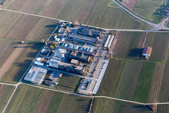 RLP Agroscience im Ortsteil Mußbach in Neustadt an der Weinstraße im Bundesland Rheinland-Pfalz, Deutschland