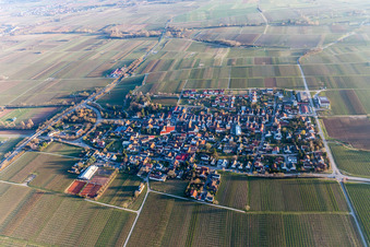 Dorf - Ansicht am Rande von landwirtschaftlichen Feldern und Nutzflächen in Walsheim im Bundesland Rheinland-Pfalz, Deutschland