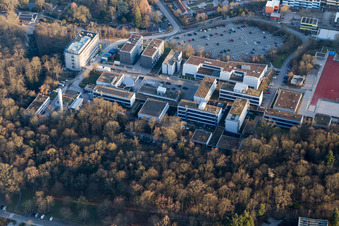 Landau in der Pfalz im Bundesland Rheinland-Pfalz, Deutschland vom Flugzeug aus