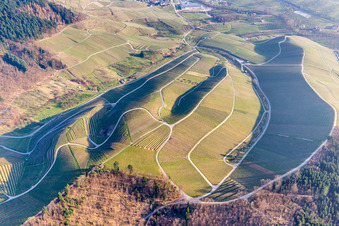 Weinbergs- Landschaft der badischen Winzer- Gebiete in Kappelrodeck im Bundesland Baden-Württemberg, Deutschland