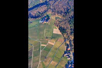 Varnhalt, Weingut Nägelsförst in Baden-Baden im Bundesland Baden-Württemberg, Deutschland