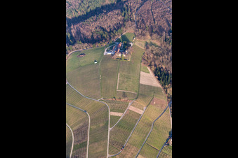 Luftbild von Weinberge des Weingut Nägelsförst - Landschaft der Winzer- Gebiete in Baden-Baden im Ortsteil Varnhalt im Bundesland Baden-Württemberg, Deutschland