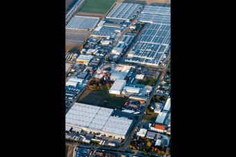 Industrie- und Gewerbegebiet an der A5 mit IHLE tires GmbH in Muggensturm im Bundesland Baden-Württemberg, Deutschland