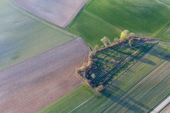 Grabreihen auf dem Gelände des alten jüdischen Friedhofes in Trimbach in Grand Est im Bundesland Bas-Rhin, Frankreich