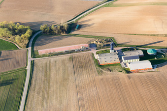 Luftbild von Trimbach im Bundesland Bas-Rhin, Frankreich