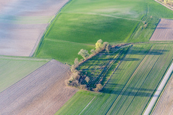 Luftbild von Grabreihen auf dem Gelände des alten jüdischen Friedhofes in Trimbach in Grand Est im Bundesland Bas-Rhin, Frankreich