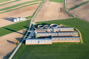 Oberlauterbach im Bundesland Bas-Rhin, Frankreich von der Drohne aus gesehen