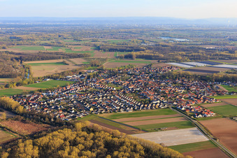 Dorfansicht in den Rheinauen aus Nordwesten in Hördt im Bundesland Rheinland-Pfalz, Deutschland