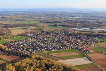 Luftbild von Dorfansicht in den Rheinauen aus Nordwesten in Hördt im Bundesland Rheinland-Pfalz, Deutschland