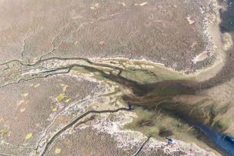 Brackwasserlandschaft auf der Isola Marinetta im Lido di Grado bei Lignano Sabbiadoro in Friuli-Venezia Giulia im Bundesland Udine, Italien