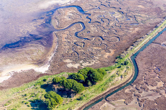 Schrägluftbild von Brackwasserlandschaft auf der Isola Marinetta im Lido di Grado bei Lignano Sabbiadoro in Friuli-Venezia Giulia im Bundesland Udine, Italien
