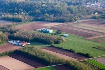 Luftbild von Mesinis im Bundesland Friaul-Julisch Venetien, Italien