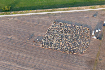 Luftaufnahme von San Leonardo im Bundesland Friaul-Julisch Venetien, Italien